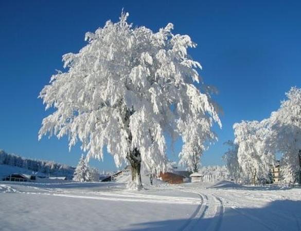 מואנה Appartamenti Dolomiti מראה חיצוני תמונה