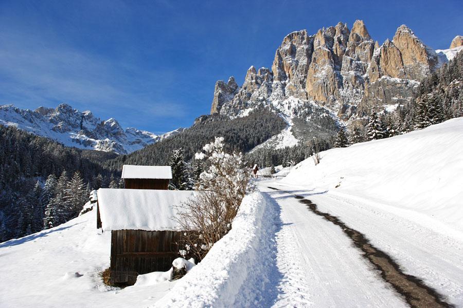מואנה Appartamenti Dolomiti מראה חיצוני תמונה